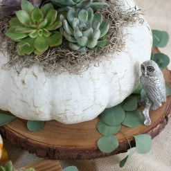 Vagabond House Owl Cheese Stand Harvest