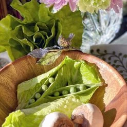 Vagabond House Song Bird Salad Bowl - Single Serve